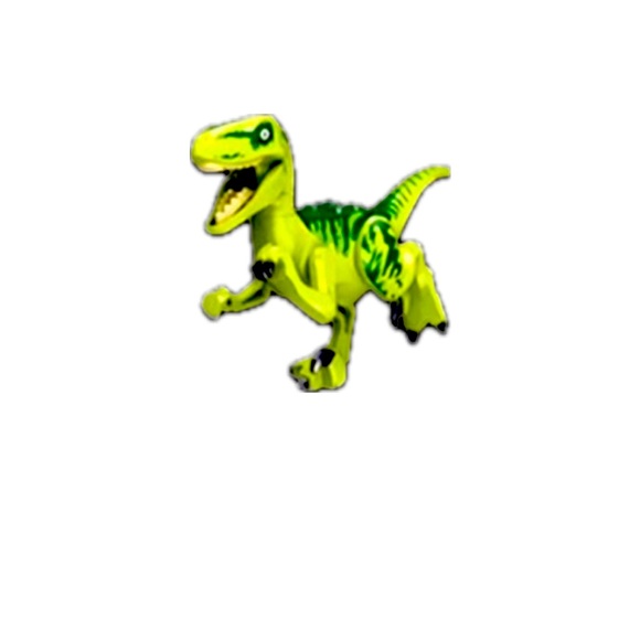 Velociraptor - Picture 1 of 2